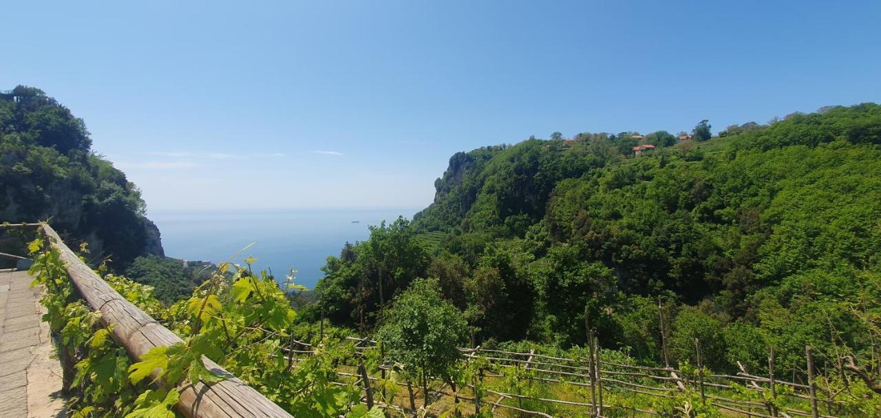 La Cicogna Bed & Breakfast Agerola Exterior foto
